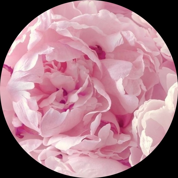 softpinkpetals